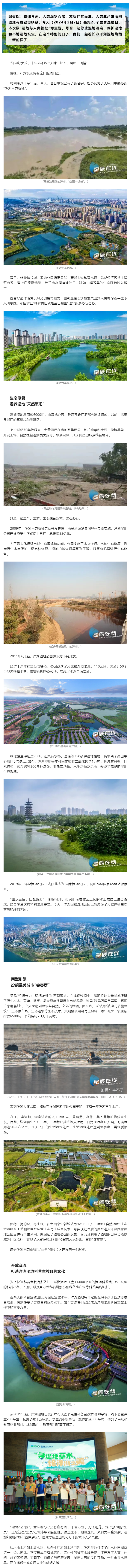2024世界濕地日：長沙洋湖濕地，詩意里的棲息勝地.png